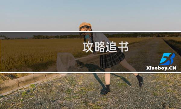 攻略追书
