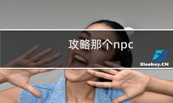 攻略那个npc