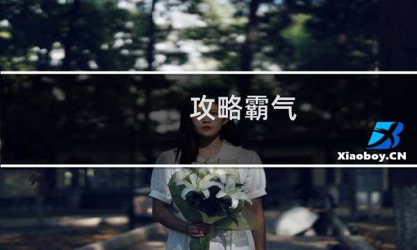 攻略霸气