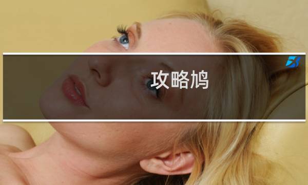 攻略鸠