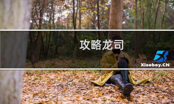 攻略龙司
