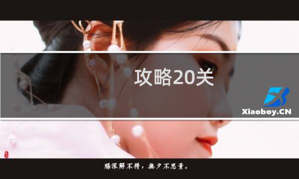 攻略20关