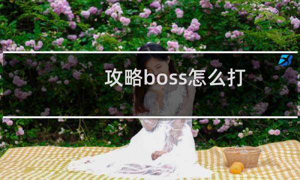 攻略boss怎么打