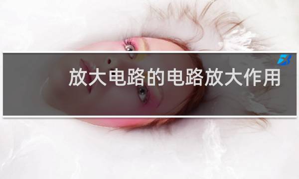 放大电路的电路放大作用