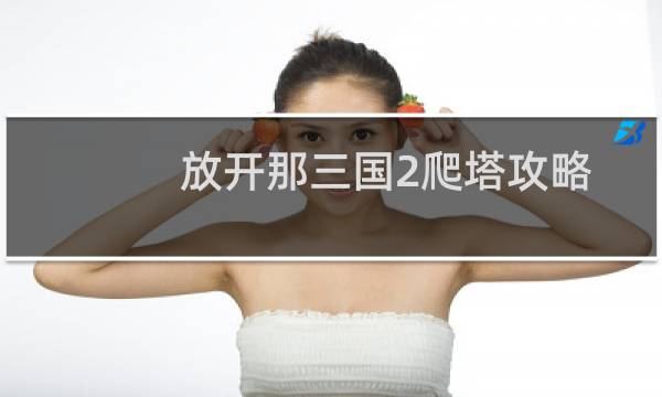 放开那三国2爬塔攻略