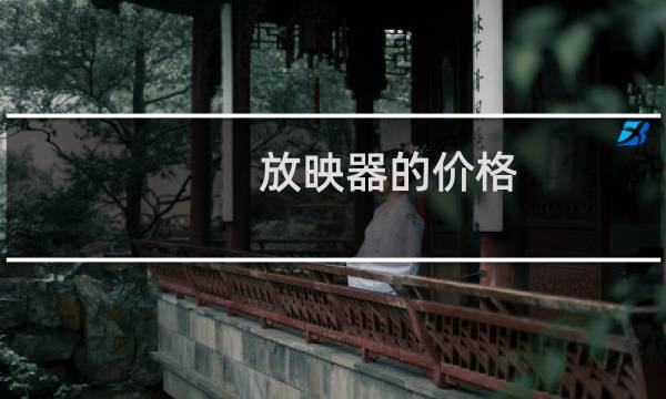 放映器的价格