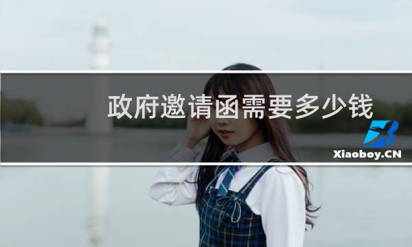 政府邀请函需要多少钱