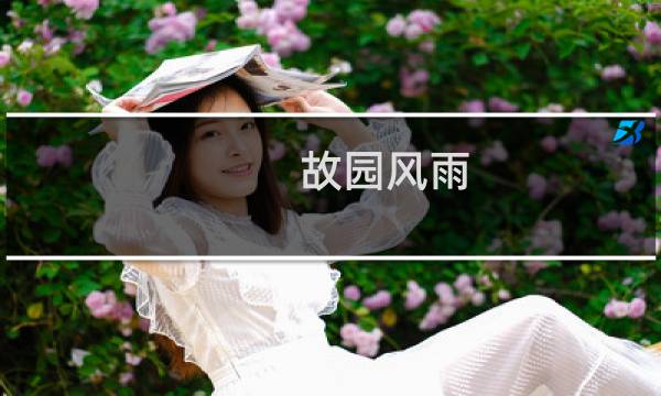 故园风雨 攻略