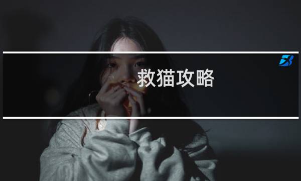 救猫攻略