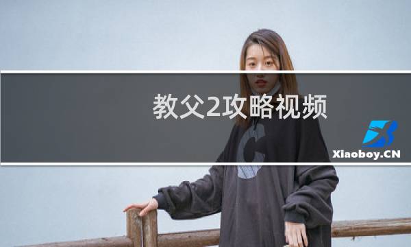 教父2攻略视频