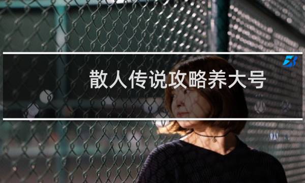 散人传说攻略养大号