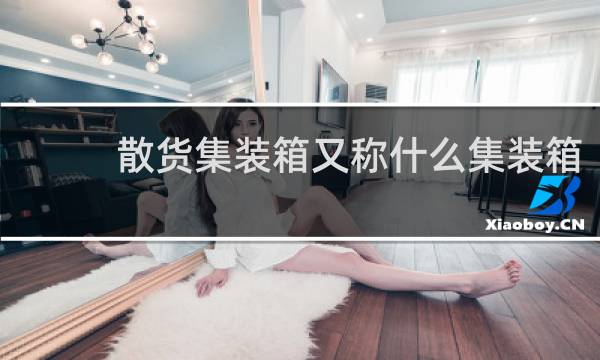 散货集装箱又称什么集装箱