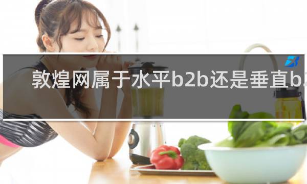 敦煌网属于水平b2b还是垂直b2b