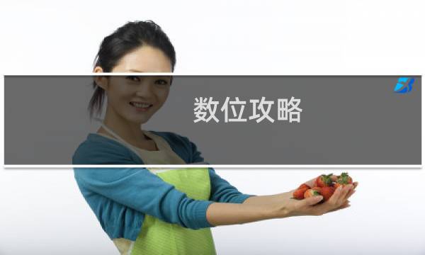 数位攻略