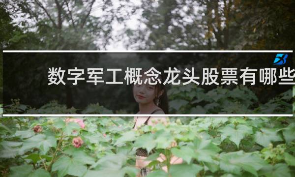 数字军工概念龙头股票有哪些