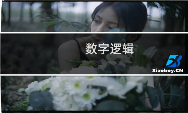 数字逻辑 最终幻想
