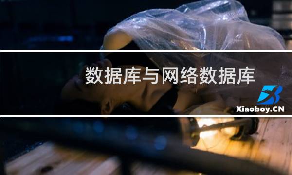 数据库与网络数据库