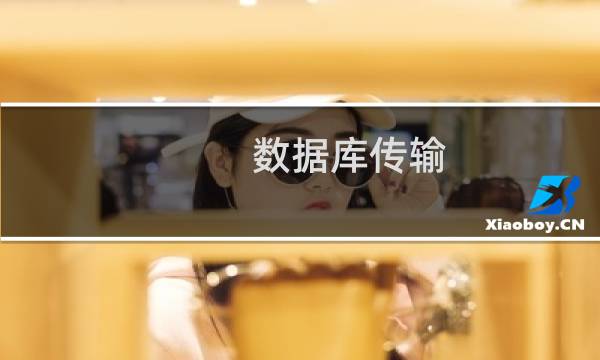 数据库传输