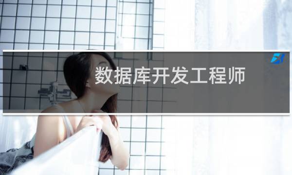 数据库开发工程师