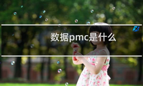 数据pmc是什么