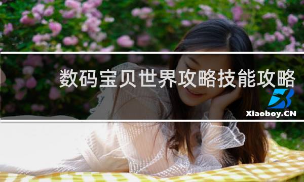 数码宝贝世界攻略技能攻略