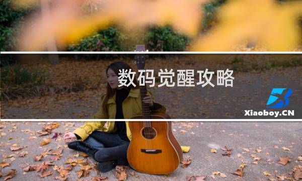 数码觉醒攻略