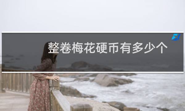 整卷梅花硬币有多少个