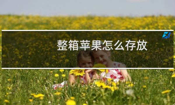 整箱苹果怎么存放