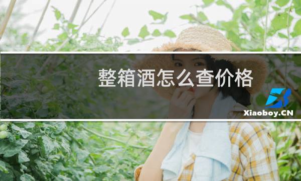 整箱酒怎么查价格