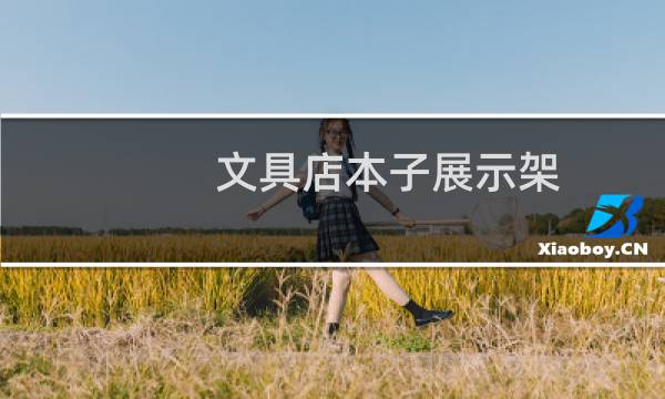 文具店本子展示架