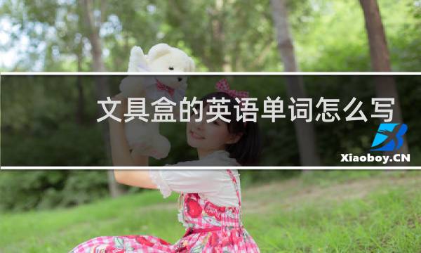 文具盒的英语单词怎么写