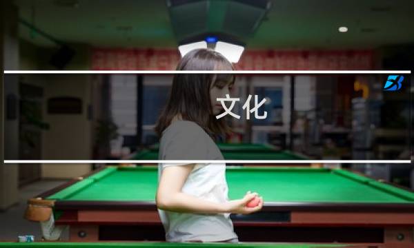 文化 攻略