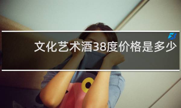 文化艺术酒38度价格是多少?