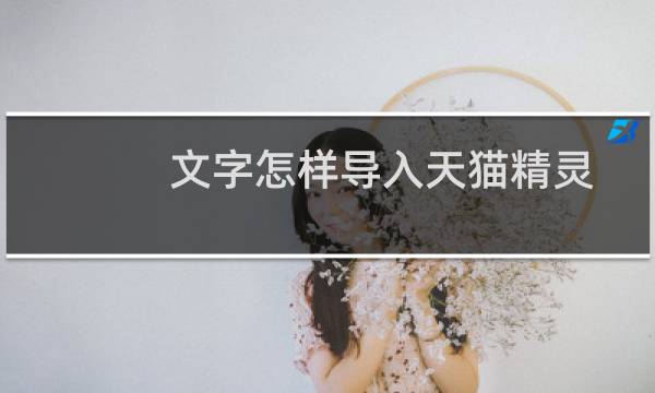 文字怎样导入天猫精灵
