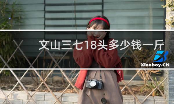 文山三七18头多少钱一斤