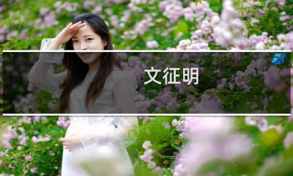 文征明 画 多少钱