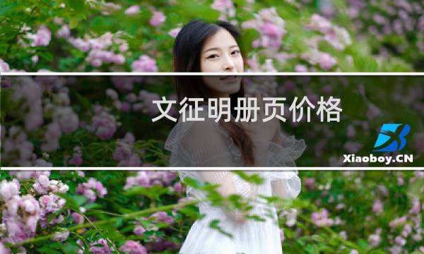 文征明册页价格