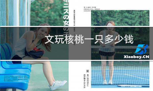 文玩核桃一只多少钱