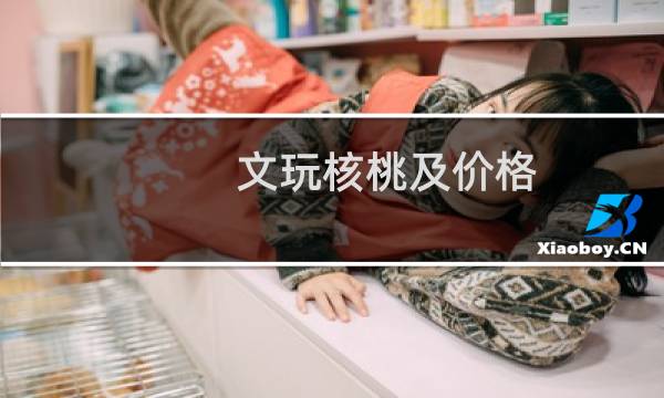文玩核桃及价格