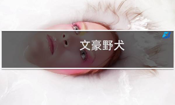 文豪野犬 攻略