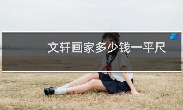 文轩画家多少钱一平尺