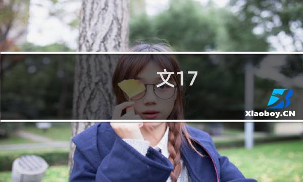 文17 单张价格