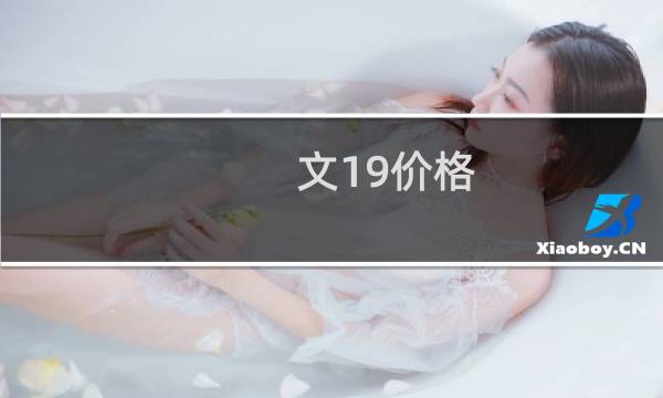 文19价格
