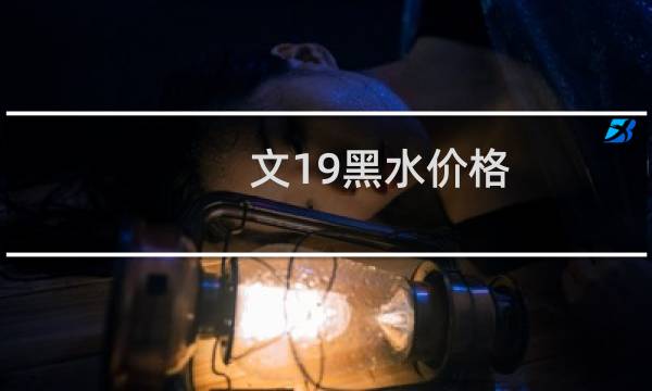 文19黑水价格