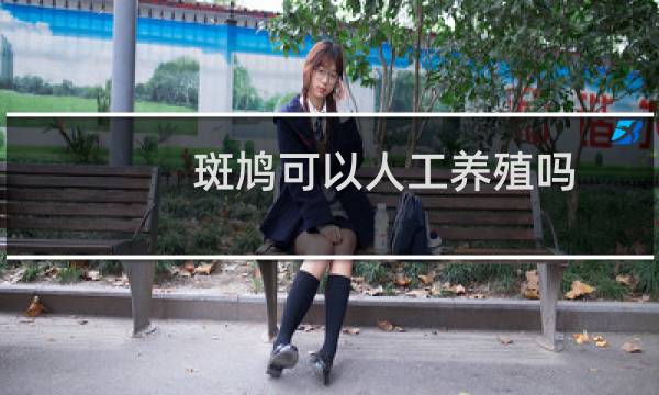 斑鸠可以人工养殖吗