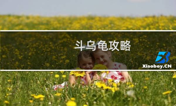 斗乌龟攻略