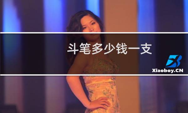 斗笔多少钱一支