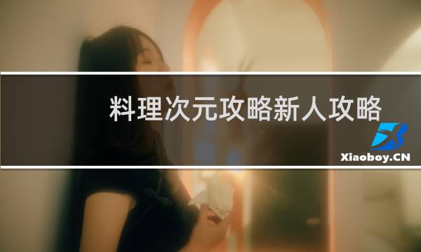 料理次元攻略新人攻略