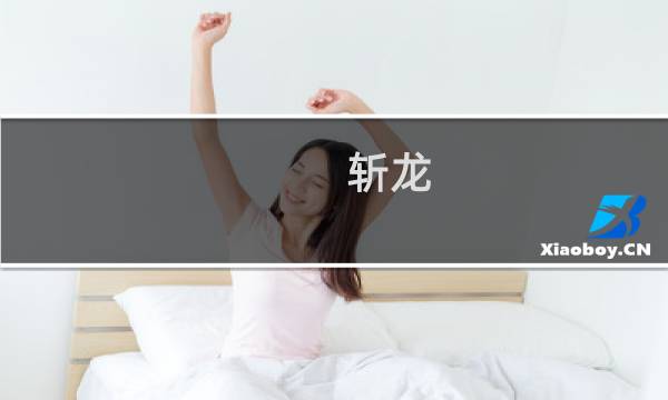 斩龙 攻略