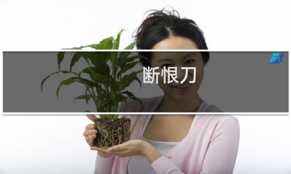断恨刀 攻略
